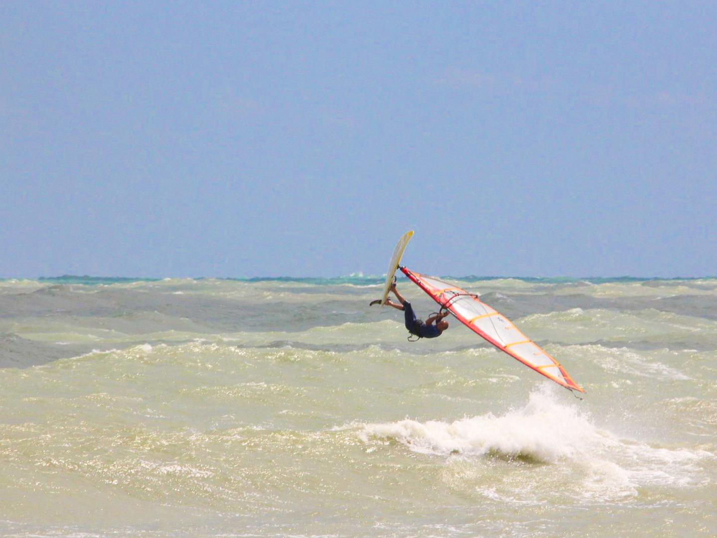 Windsurfer